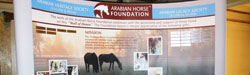 Arabian Horse Foundation
